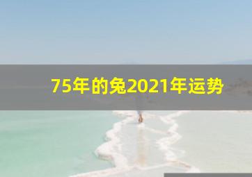 75年的兔2021年运势