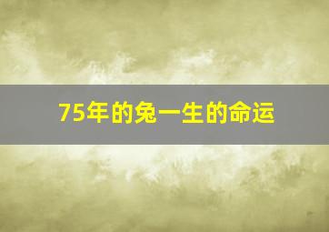 75年的兔一生的命运