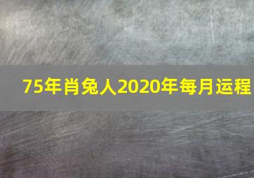 75年肖兔人2020年每月运程