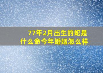 77年2月出生的蛇是什么命今年婚姻怎么样