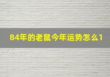 84年的老鼠今年运势怎么1