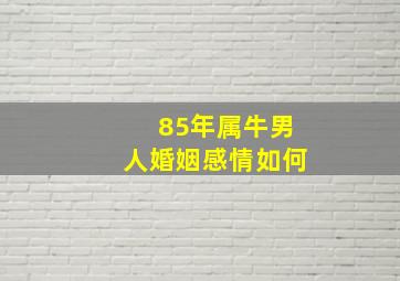 85年属牛男人婚姻感情如何