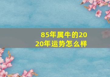 85年属牛的2020年运势怎么样