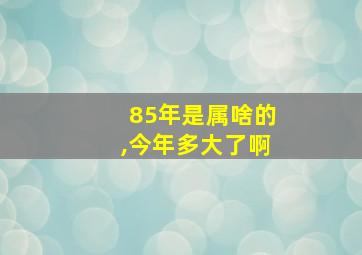 85年是属啥的,今年多大了啊