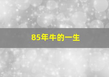 85年牛的一生