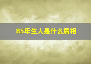 85年生人是什么属相