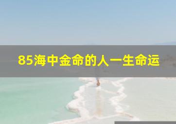 85海中金命的人一生命运