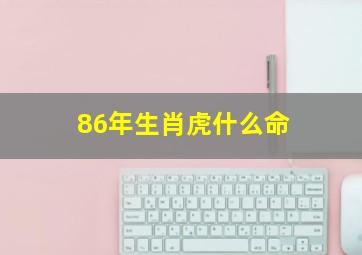 86年生肖虎什么命