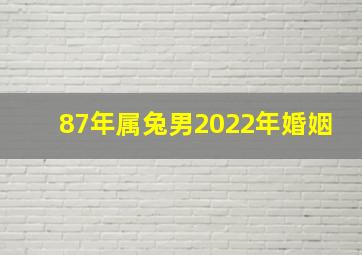 87年属兔男2022年婚姻