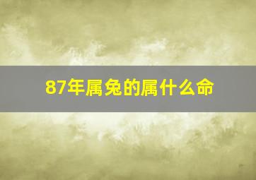 87年属兔的属什么命