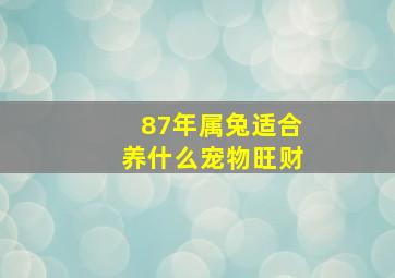 87年属兔适合养什么宠物旺财