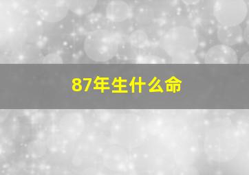 87年生什么命