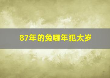 87年的兔哪年犯太岁