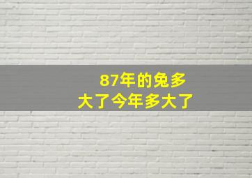 87年的兔多大了今年多大了