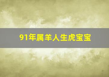 91年属羊人生虎宝宝