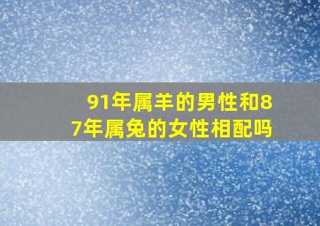 91年属羊的男性和87年属兔的女性相配吗