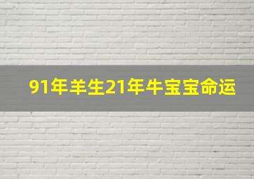 91年羊生21年牛宝宝命运