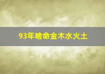 93年啥命金木水火土