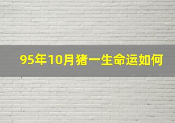 95年10月猪一生命运如何