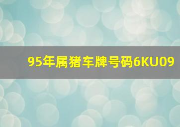 95年属猪车牌号码6KU09