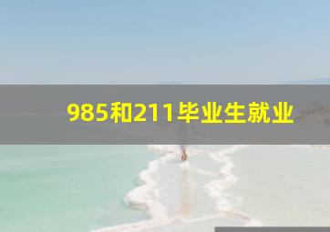 985和211毕业生就业