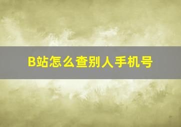 B站怎么查别人手机号