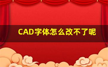 CAD字体怎么改不了呢