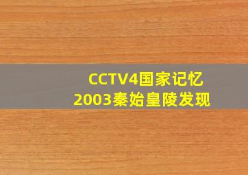 CCTV4国家记忆2003秦始皇陵发现