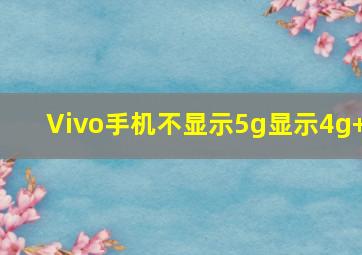 Vivo手机不显示5g显示4g+