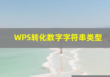 WPS转化数字字符串类型