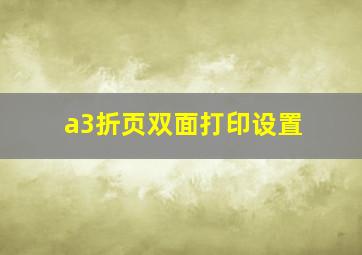 a3折页双面打印设置