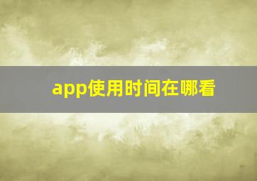 app使用时间在哪看