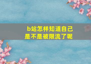 b站怎样知道自己是不是被限流了呢