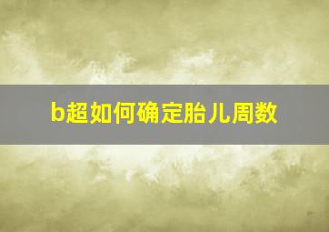 b超如何确定胎儿周数