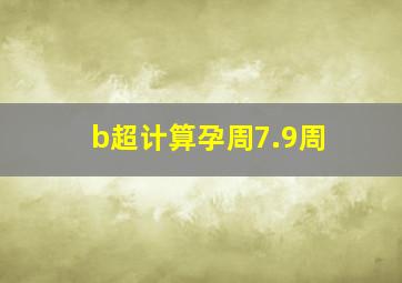 b超计算孕周7.9周