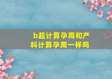 b超计算孕周和产科计算孕周一样吗