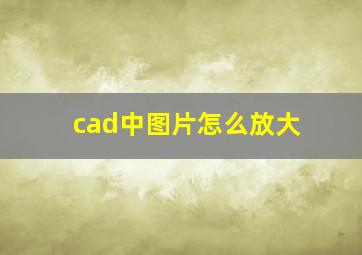 cad中图片怎么放大