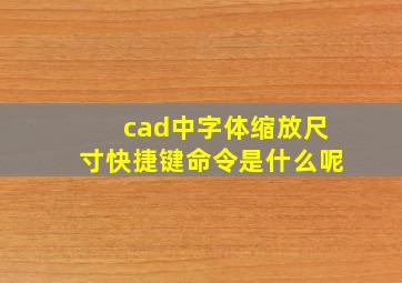 cad中字体缩放尺寸快捷键命令是什么呢