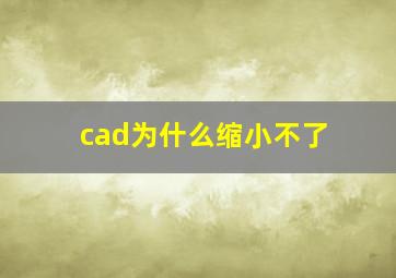 cad为什么缩小不了