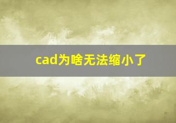 cad为啥无法缩小了