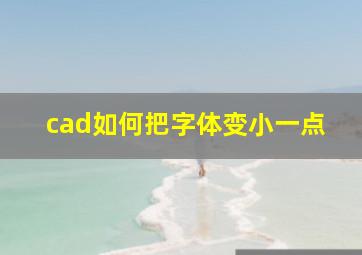 cad如何把字体变小一点