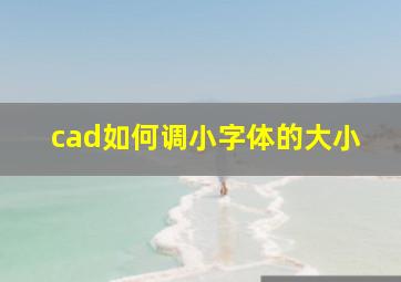 cad如何调小字体的大小