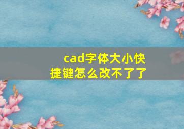 cad字体大小快捷键怎么改不了了