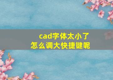 cad字体太小了怎么调大快捷键呢