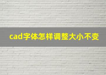 cad字体怎样调整大小不变