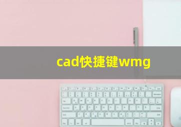 cad快捷键wmg