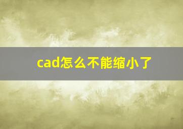 cad怎么不能缩小了