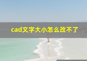 cad文字大小怎么改不了