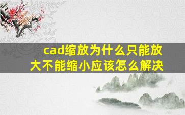 cad缩放为什么只能放大不能缩小应该怎么解决