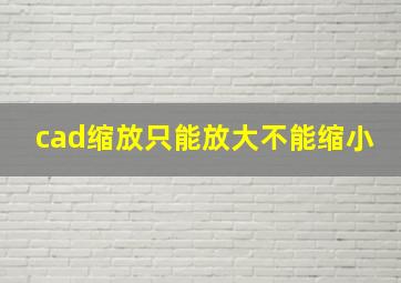 cad缩放只能放大不能缩小